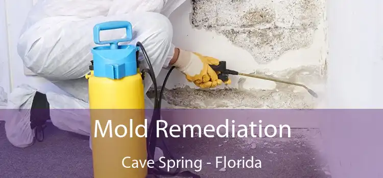 Mold Remediation Cave Spring - Florida