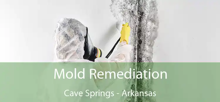 Mold Remediation Cave Springs - Arkansas