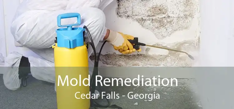 Mold Remediation Cedar Falls - Georgia