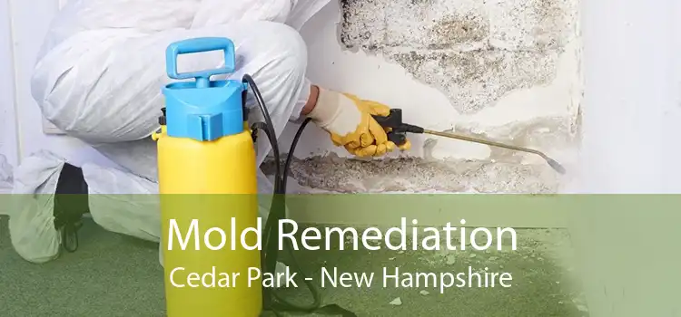 Mold Remediation Cedar Park - New Hampshire