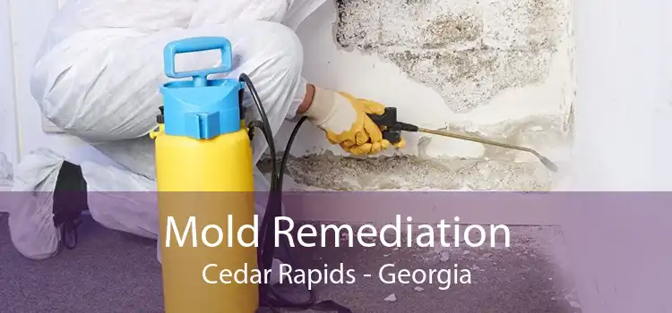 Mold Remediation Cedar Rapids - Georgia