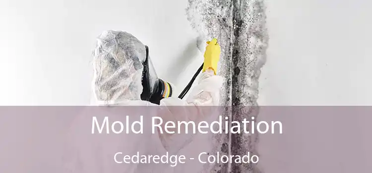 Mold Remediation Cedaredge - Colorado