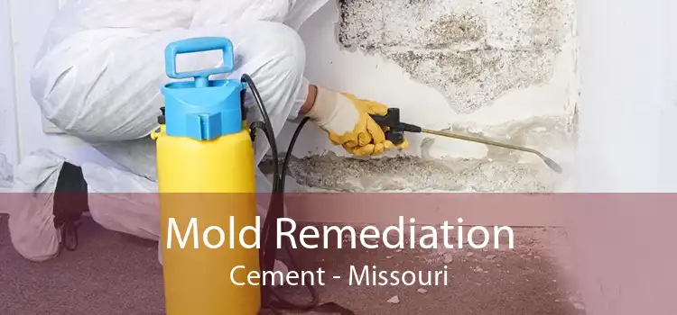 Mold Remediation Cement - Missouri
