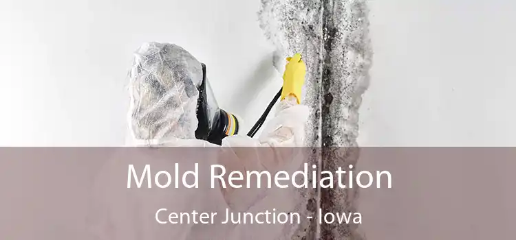 Mold Remediation Center Junction - Iowa