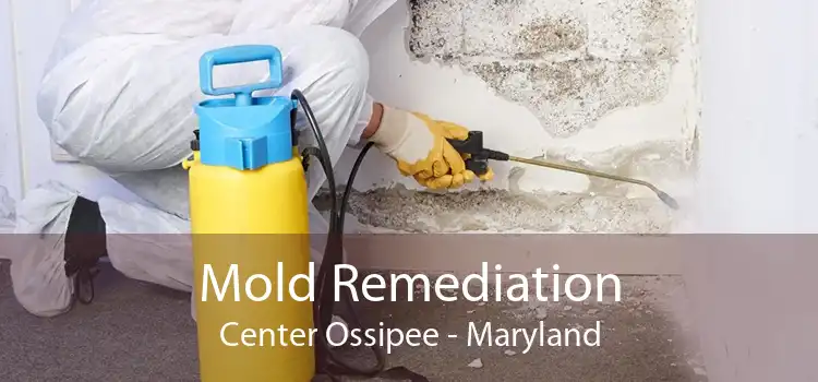 Mold Remediation Center Ossipee - Maryland