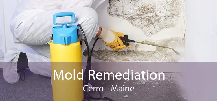 Mold Remediation Cerro - Maine