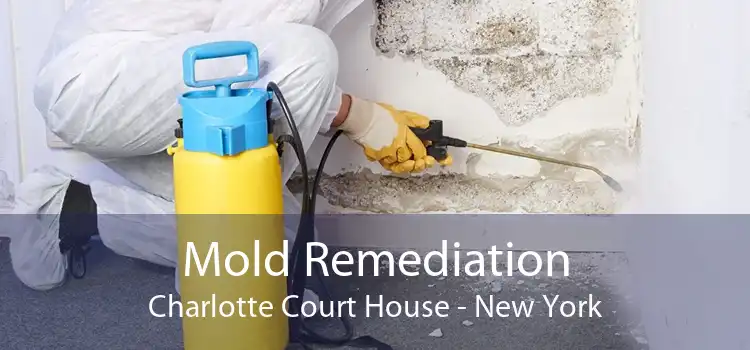Mold Remediation Charlotte Court House - New York