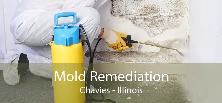 Mold Remediation Chavies - Illinois