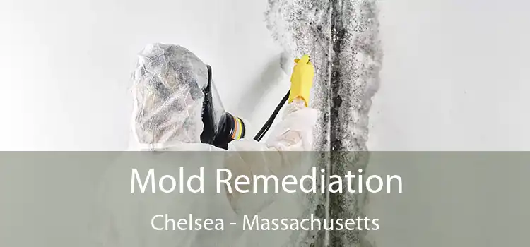 Mold Remediation Chelsea - Massachusetts