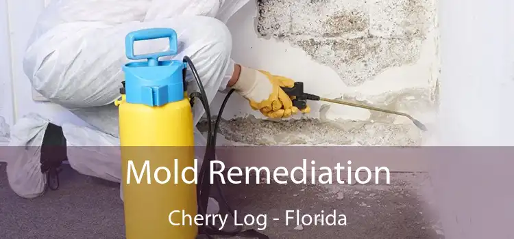 Mold Remediation Cherry Log - Florida