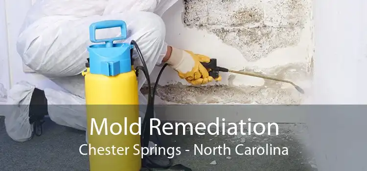 Mold Remediation Chester Springs - North Carolina
