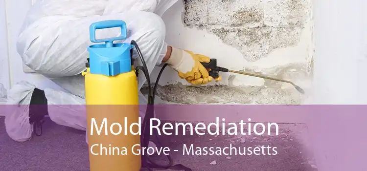 Mold Remediation China Grove - Massachusetts