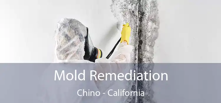 Mold Remediation Chino - California