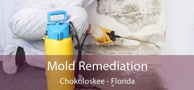 Mold Remediation Chokoloskee - Florida