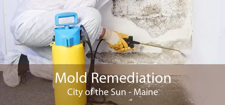 Mold Remediation City of the Sun - Maine