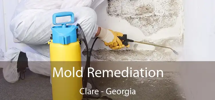 Mold Remediation Clare - Georgia