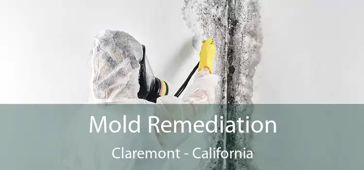 Mold Remediation Claremont - California