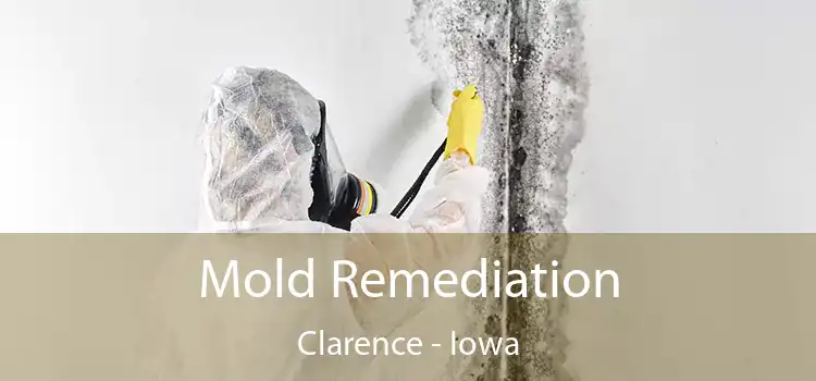 Mold Remediation Clarence - Iowa