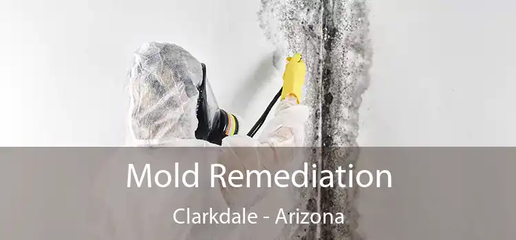 Mold Remediation Clarkdale - Arizona