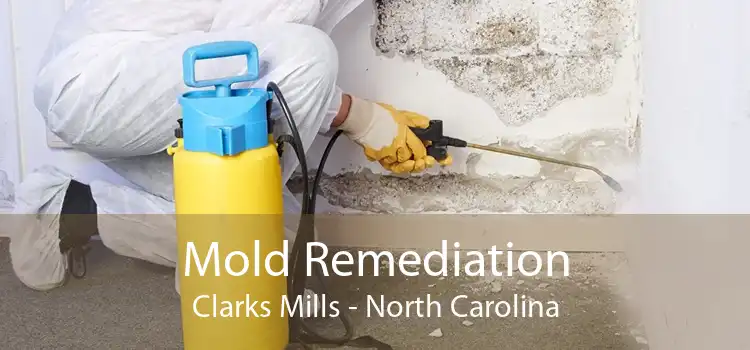Mold Remediation Clarks Mills - North Carolina