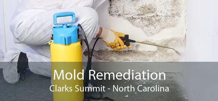 Mold Remediation Clarks Summit - North Carolina
