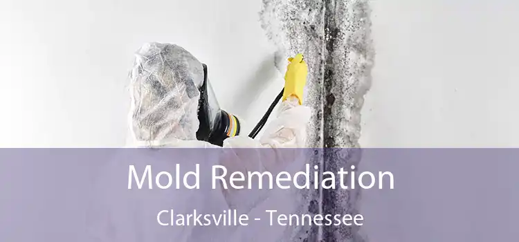 Mold Remediation Clarksville - Tennessee