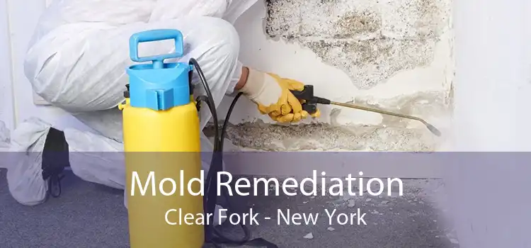 Mold Remediation Clear Fork - New York
