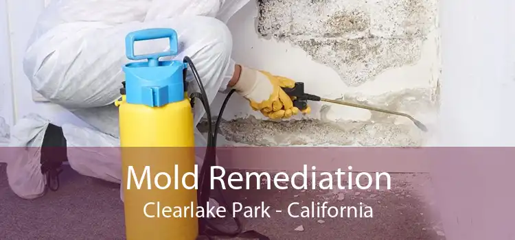 Mold Remediation Clearlake Park - California