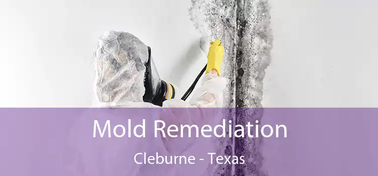 Mold Remediation Cleburne - Texas