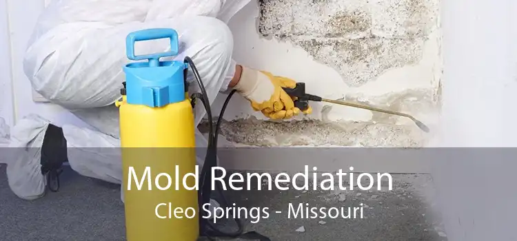 Mold Remediation Cleo Springs - Missouri