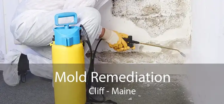 Mold Remediation Cliff - Maine