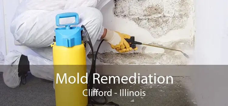 Mold Remediation Clifford - Illinois
