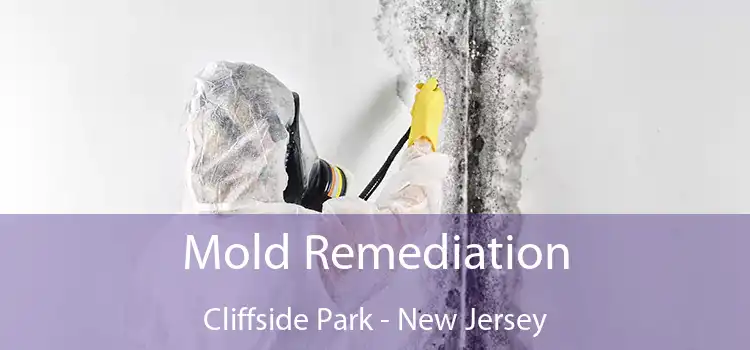 Mold Remediation Cliffside Park - New Jersey