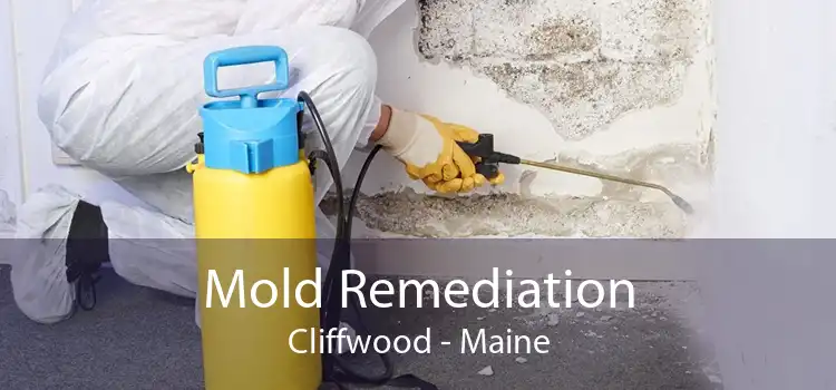 Mold Remediation Cliffwood - Maine