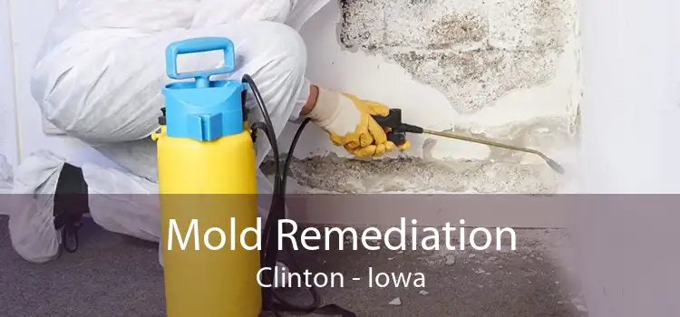Mold Remediation Clinton - Iowa