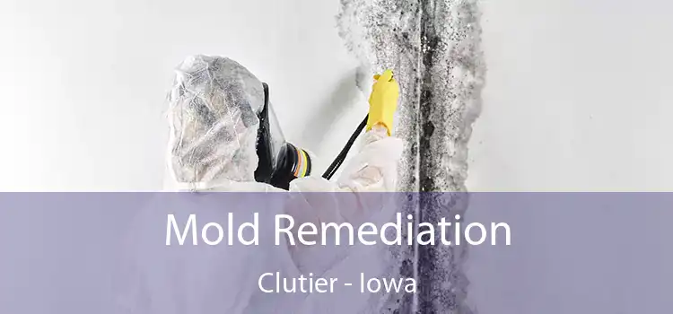 Mold Remediation Clutier - Iowa