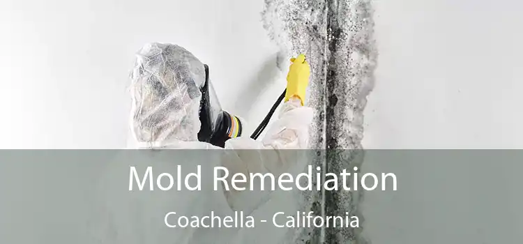 Mold Remediation Coachella - California