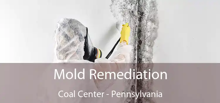 Mold Remediation Coal Center - Pennsylvania