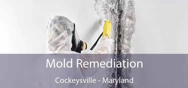 Mold Remediation Cockeysville - Maryland