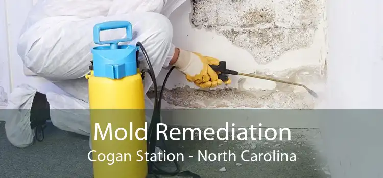 Mold Remediation Cogan Station - North Carolina