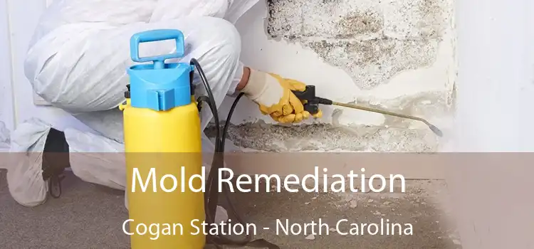 Mold Remediation Cogan Station - North Carolina