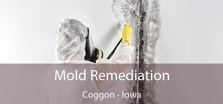 Mold Remediation Coggon - Iowa