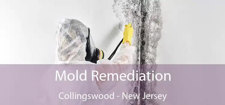 Mold Remediation Collingswood - New Jersey