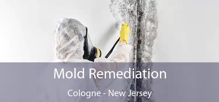 Mold Remediation Cologne - New Jersey