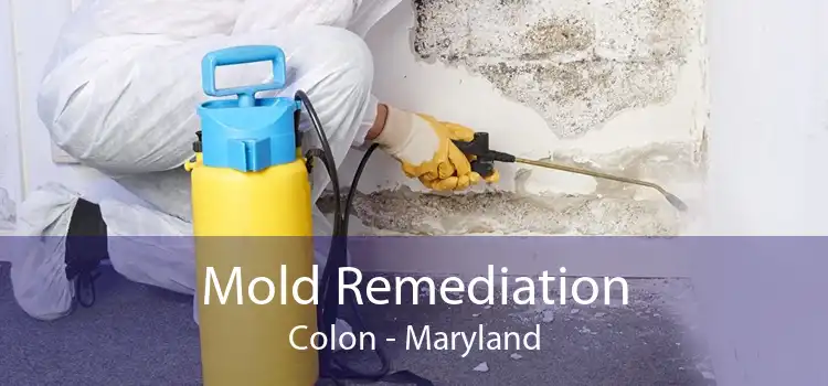 Mold Remediation Colon - Maryland