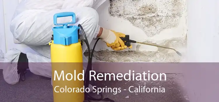 Mold Remediation Colorado Springs - California