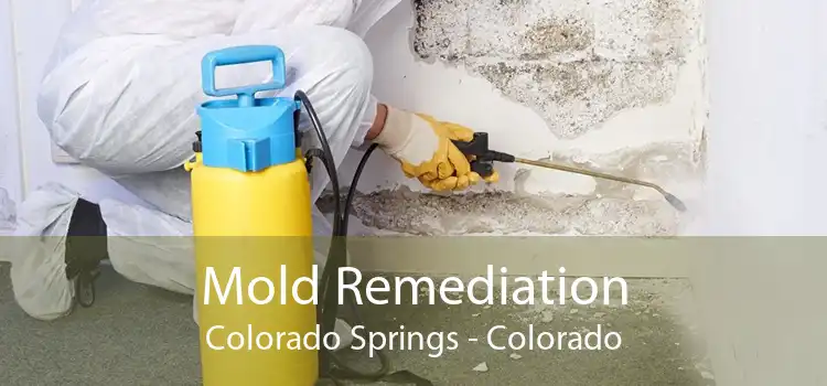 Mold Remediation Colorado Springs - Colorado