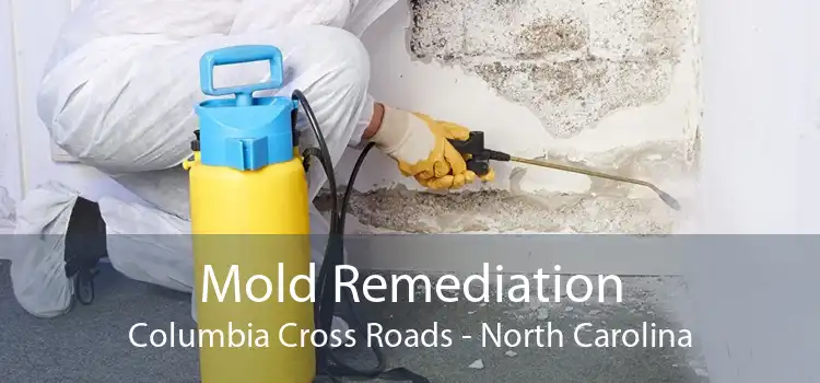 Mold Remediation Columbia Cross Roads - North Carolina