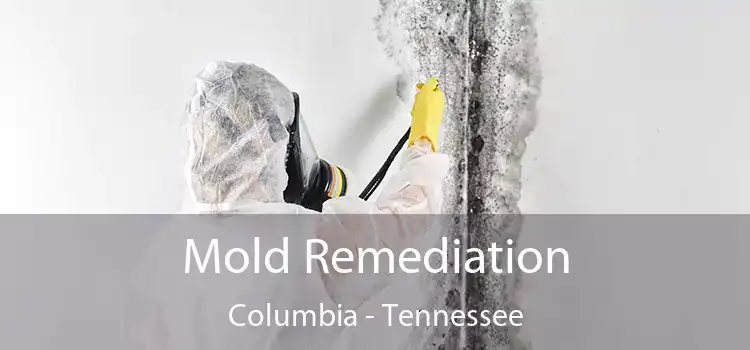 Mold Remediation Columbia - Tennessee