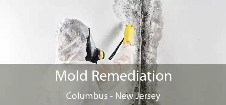 Mold Remediation Columbus - New Jersey